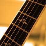 guitar frets