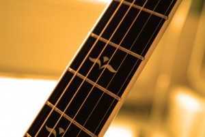 guitar frets