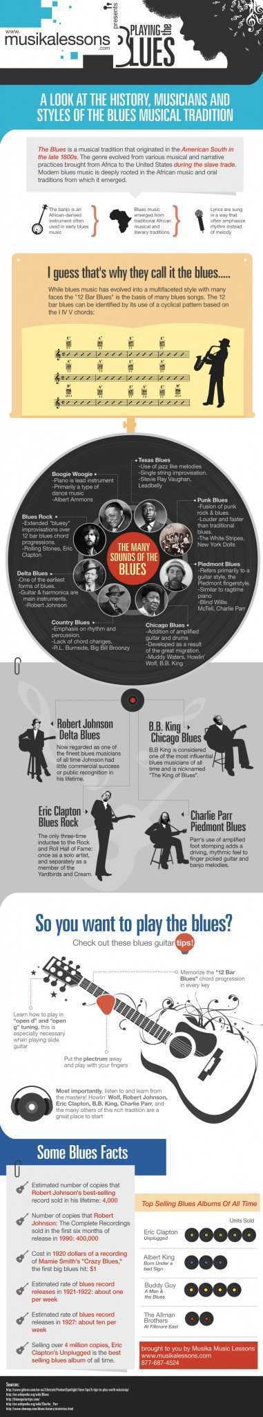 Infographic Playing the Blues Musika Lessons