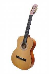 acoustic guitar 