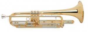 the bass trumpet