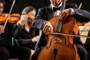 cellist in orchestra