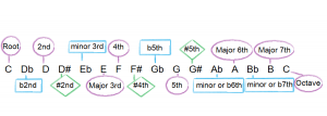chromatic scale with intervals diagram
