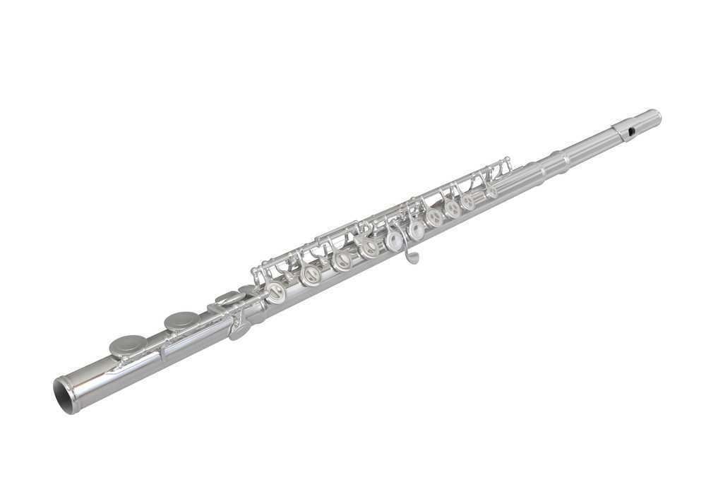 musical instruments flute