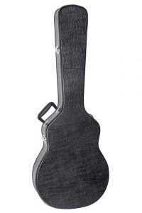 hard guitar case upright