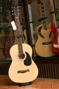 guitars in store