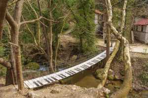 musical bridge piano