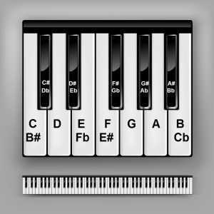 piano keys chart