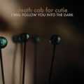 album cover i will follow you into the dark