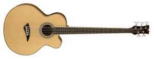 isolated acoustic electric bass
