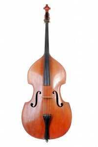 types of basses double bass on white background