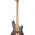 isolate electric bass guitar
