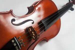 viola strings 