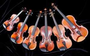 violins different sizes