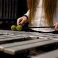 female percussionists