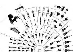 concert orchestra instruments