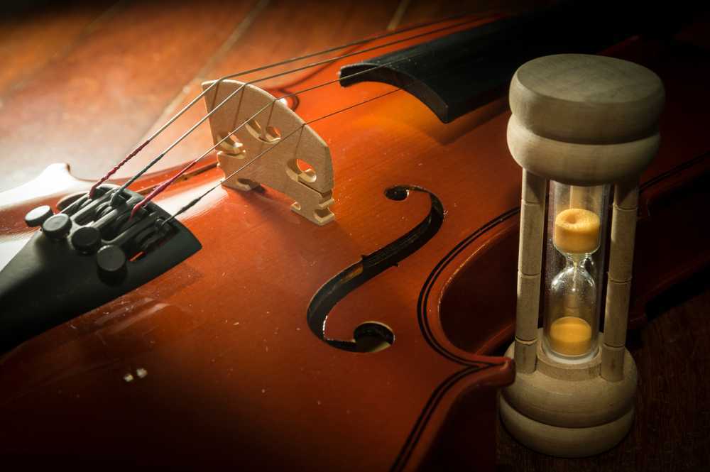 Violin Accessories Essentials for All Violinists