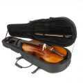 violin accessories case