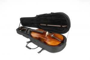 violin accessories case