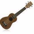 easy ukulele songs