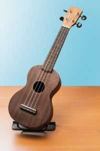 ukulele on blue background