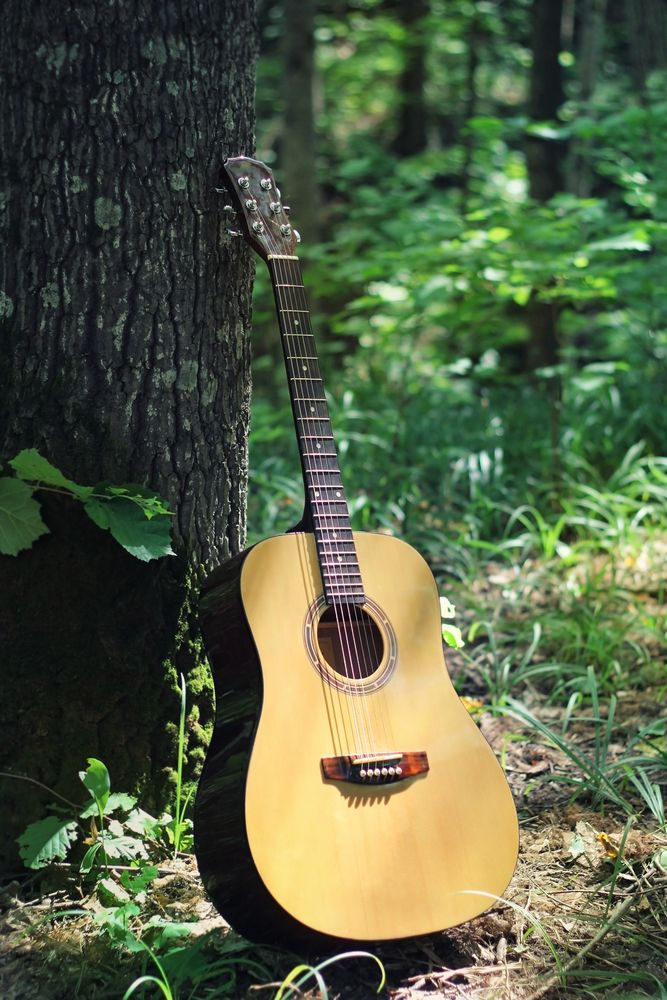 guitar in the woods
