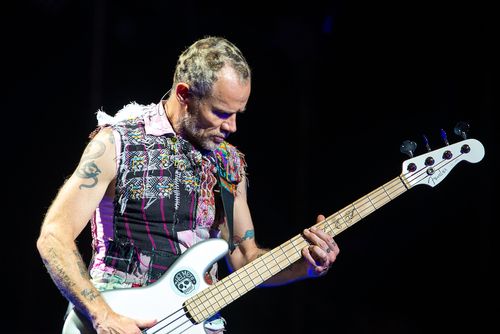 flea