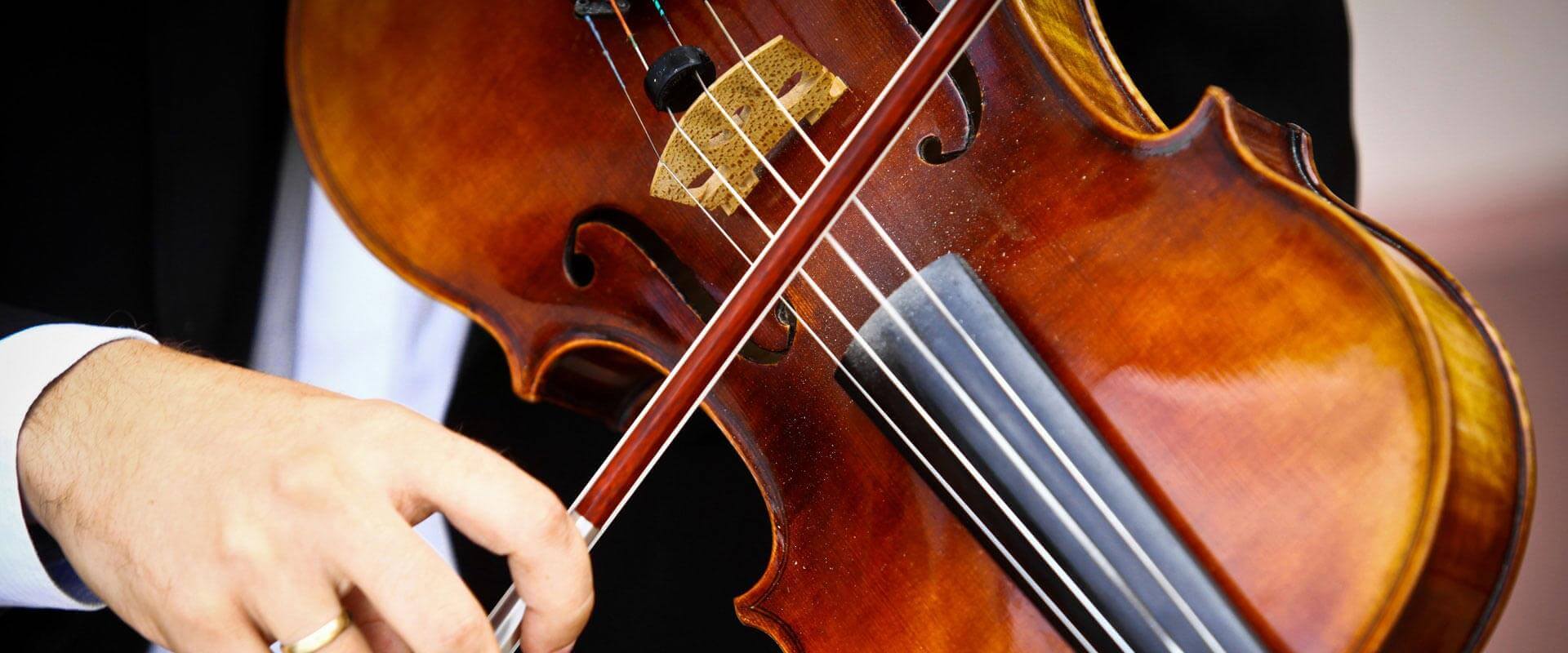 Viola Lessons in Savannah NY - Musika Music Teachers