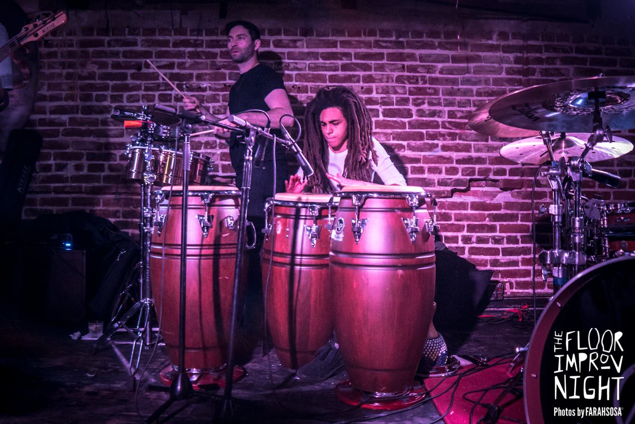 Indigo S. Mallet Percussion, Latin Percussion, Orchestral Percussion