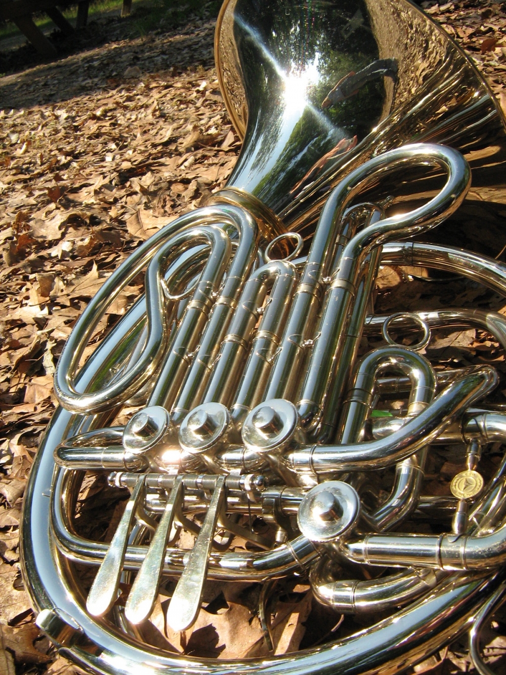 Anna S. Trumpet & French Horn Teacher in Cleveland, OH 44134